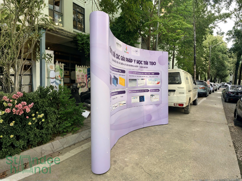 Backdrop mạng nhện là gì? 5 điều cần biết trước khi mua